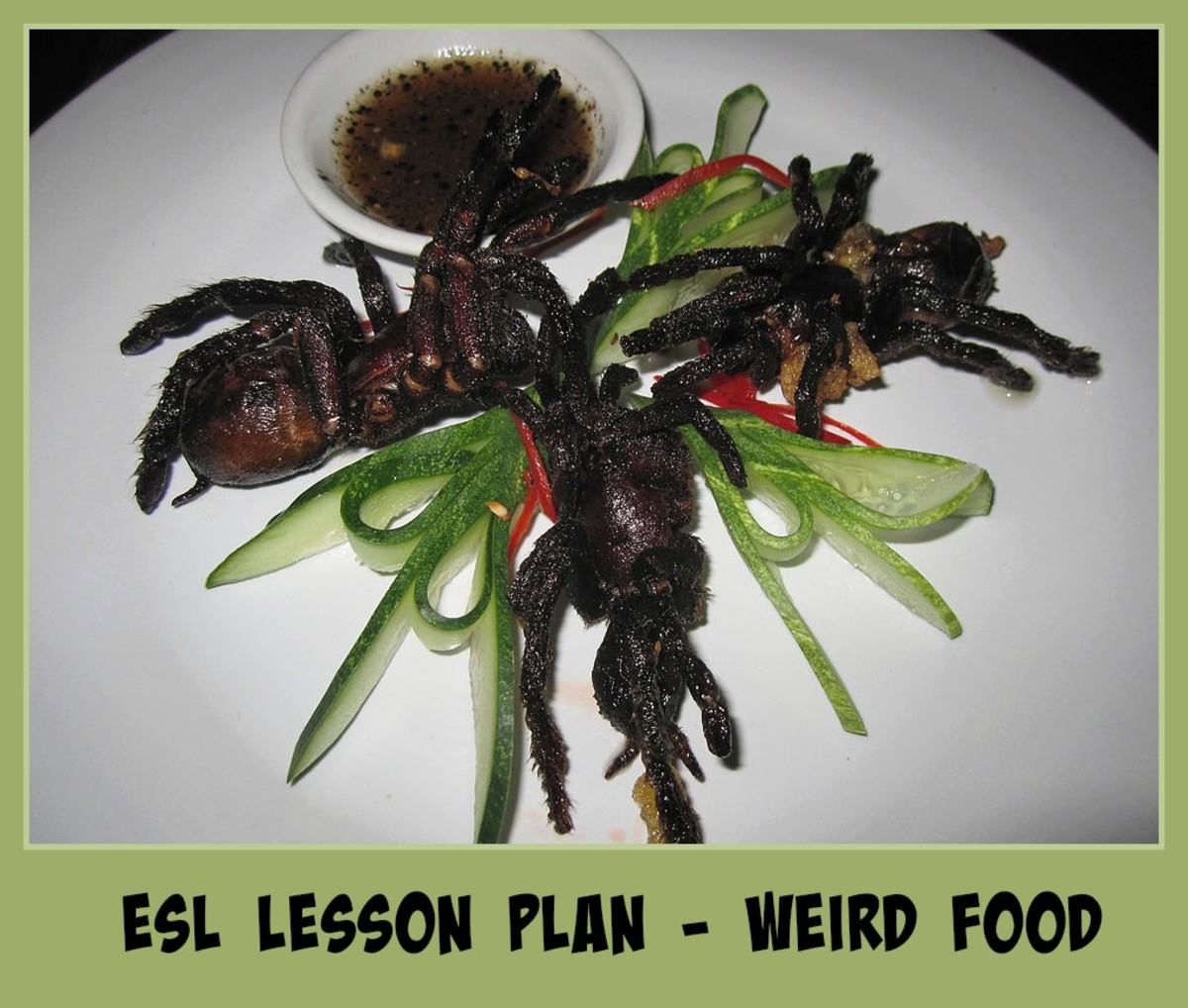 ESL Intermediate Lesson Plan - Weird Food