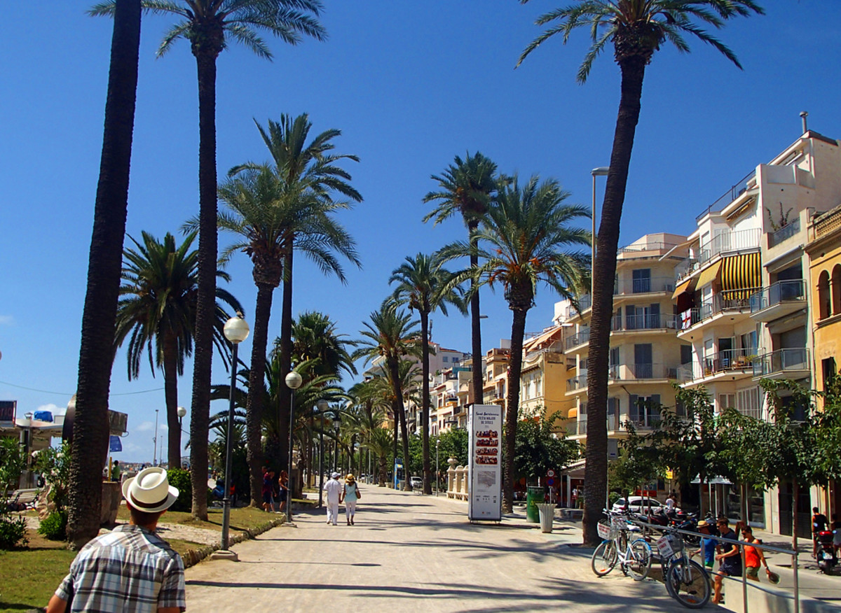 Palm trees lined Passeig de la Ribera.