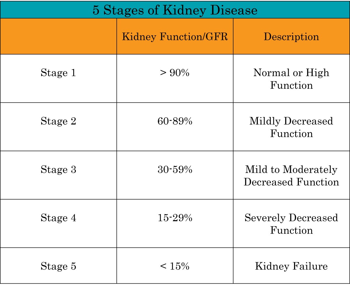 What is the Best EvidenceBased Strategy for CKD (Chronic Kidney