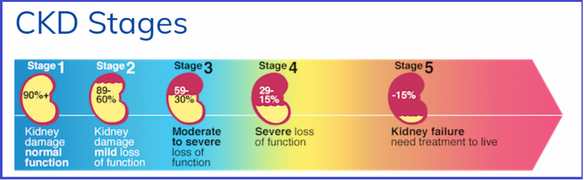 CKD Stages 
