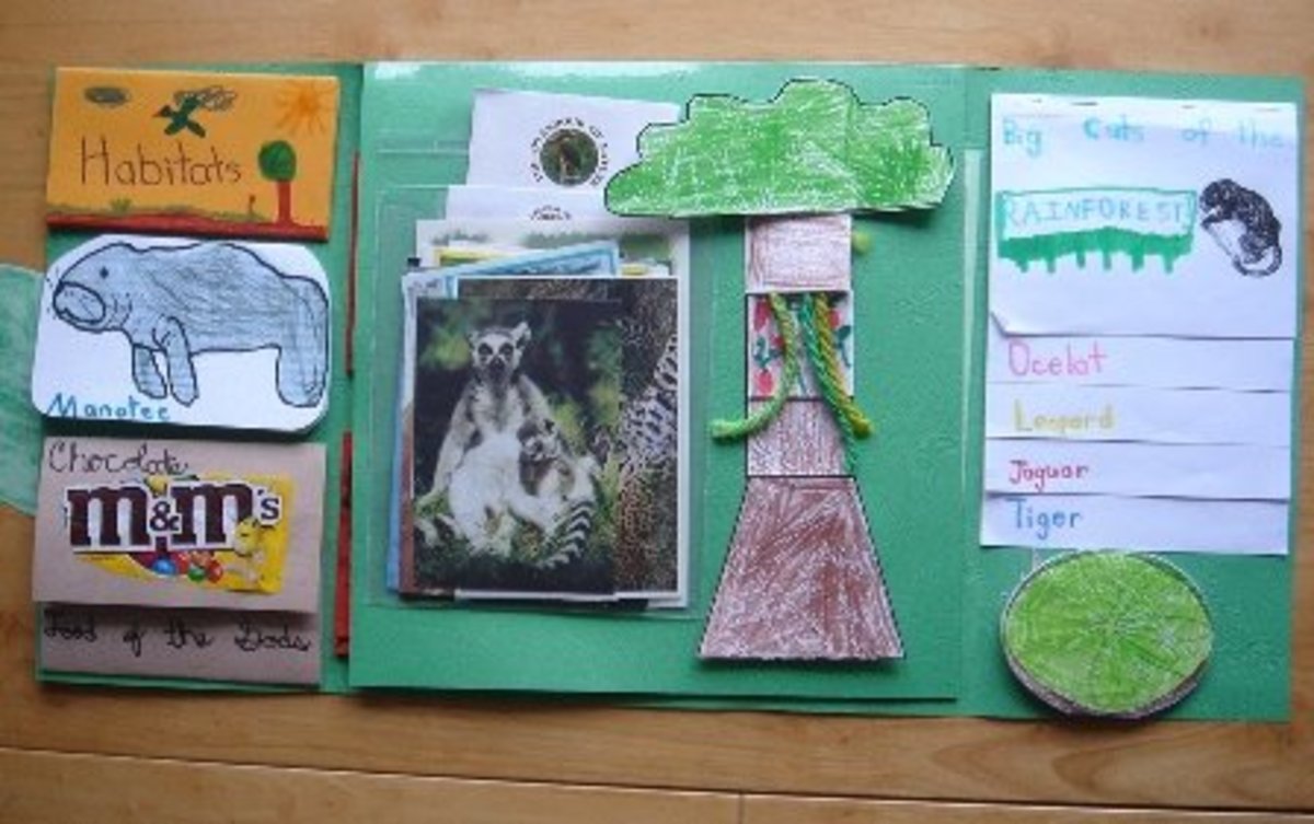 simplest-lapbook-ever