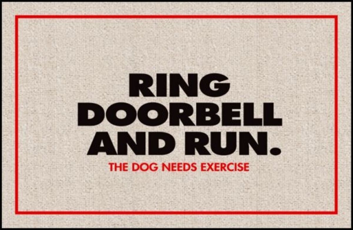 funny-dog-doormats