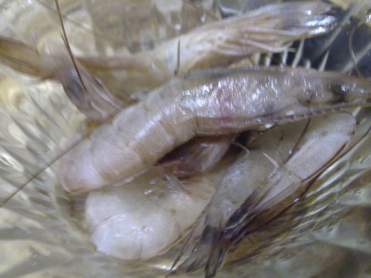Fresh prawns are hard to find in supermarket
