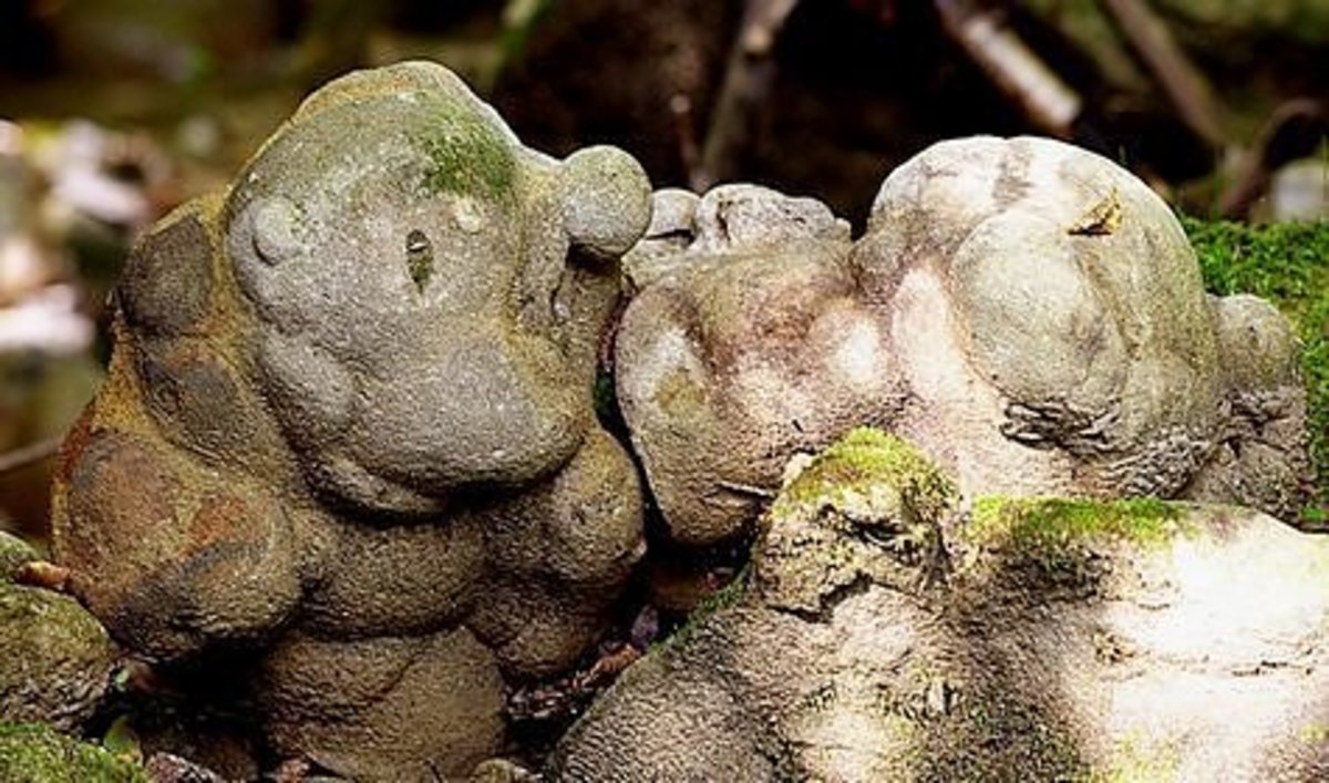 trovants-the-growing-stones-of-romania