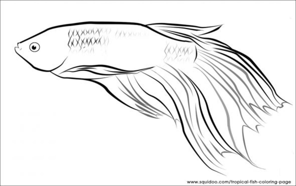 tropical-fish-coloring-page