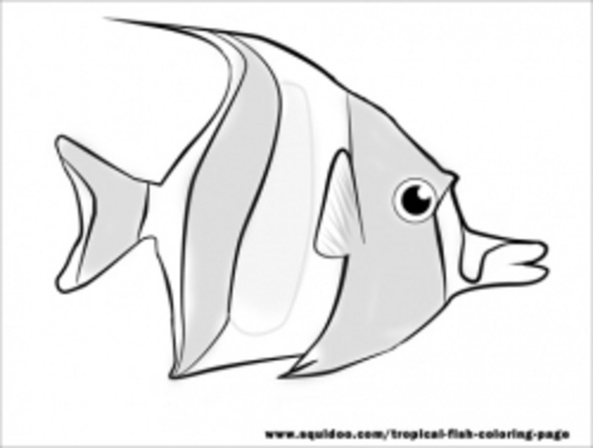 tropical-fish-coloring-page