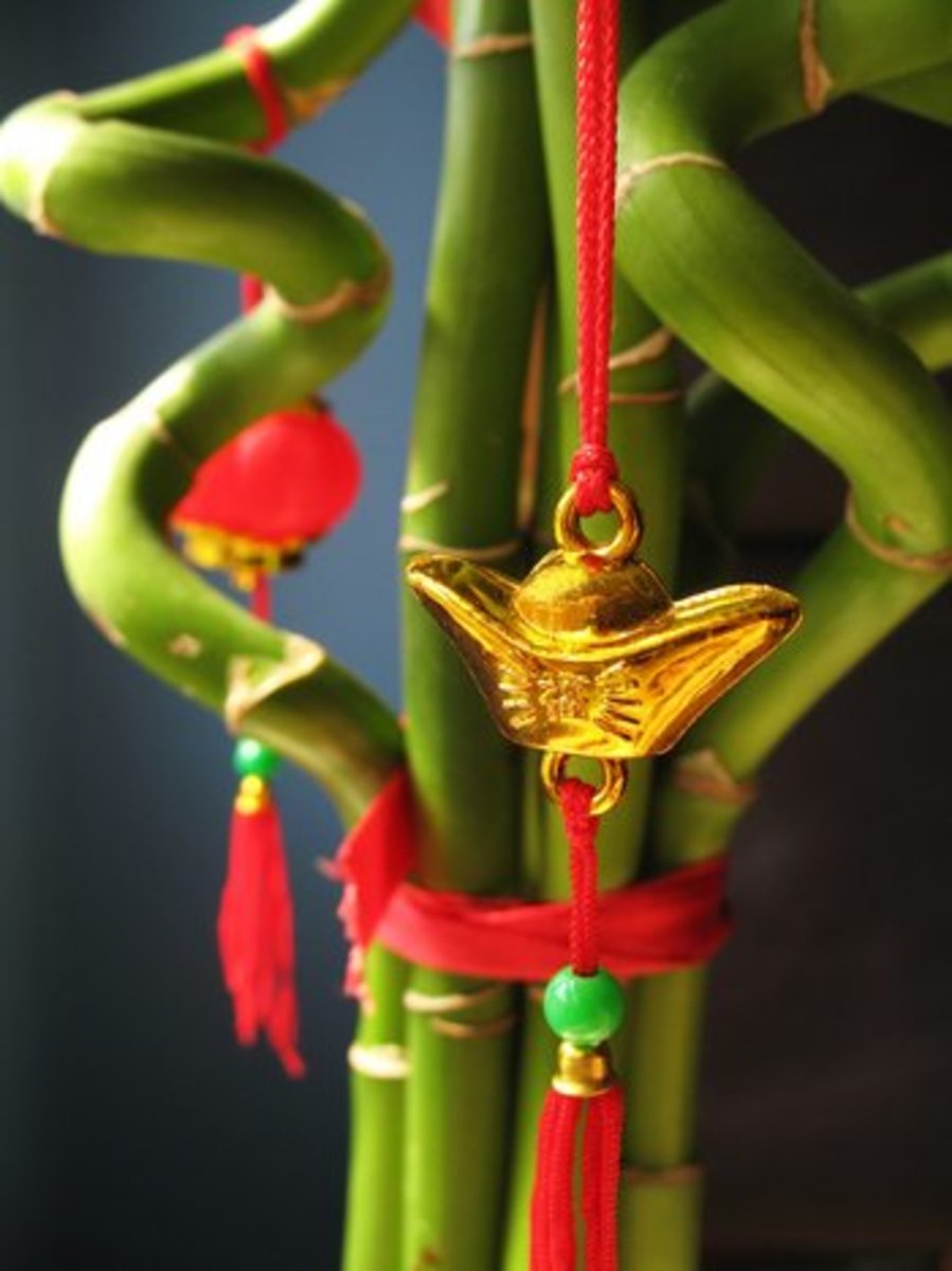 Red ribbon added to the Lucky Bamboo attracts more of positive change