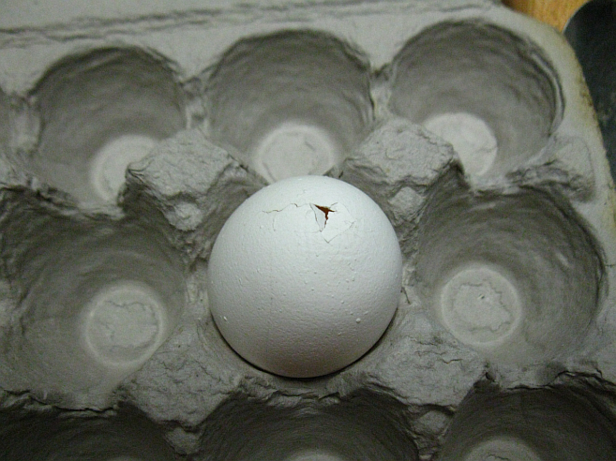 the crack started on top of the egg