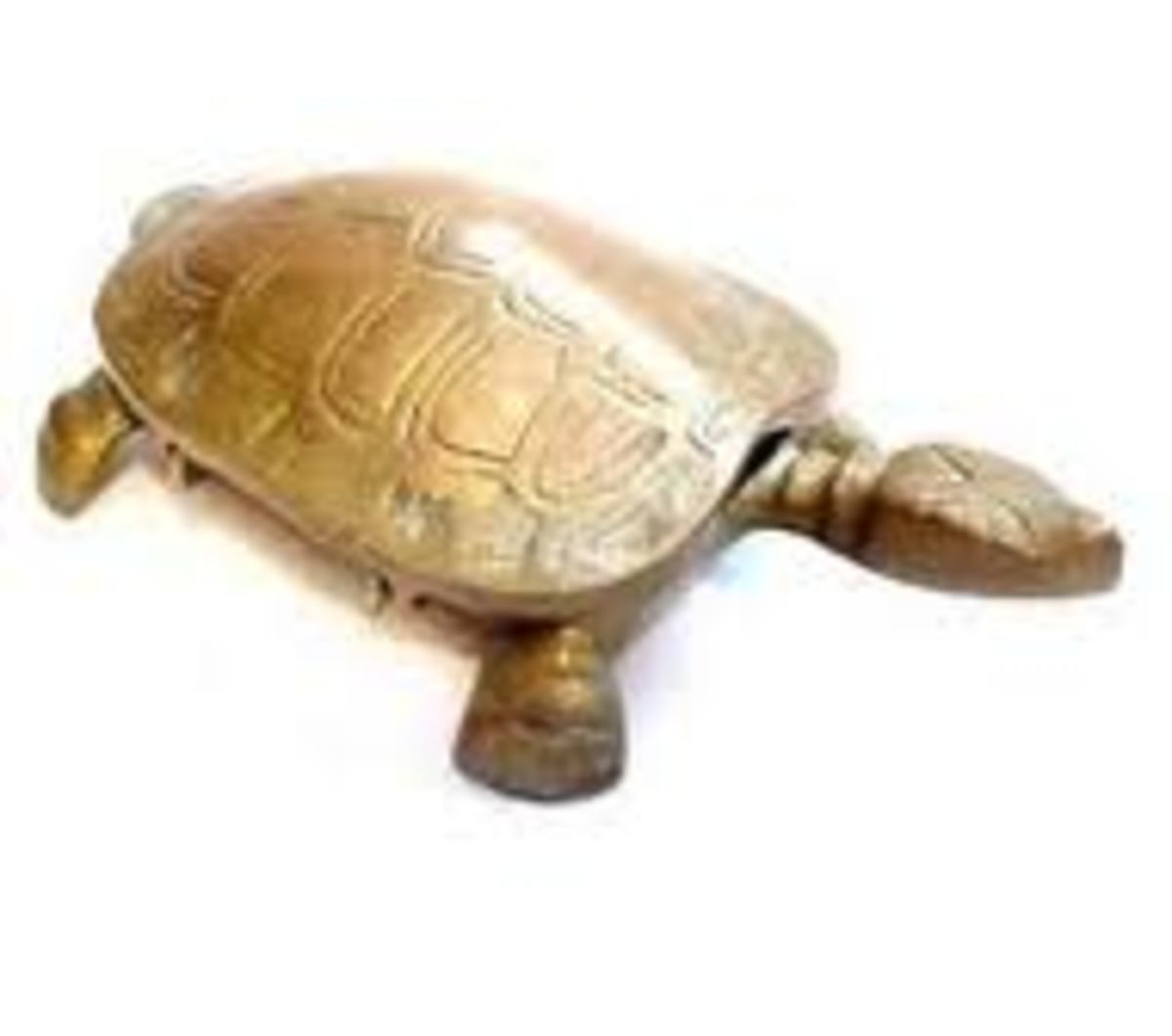 Metal Turtle