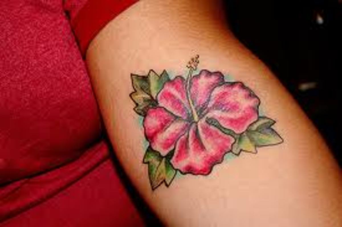 hibiscus-tattoos-and-meanings-hisbiscus-tattoo-designs-and-ideas-hibiscus-tattoo-pictures