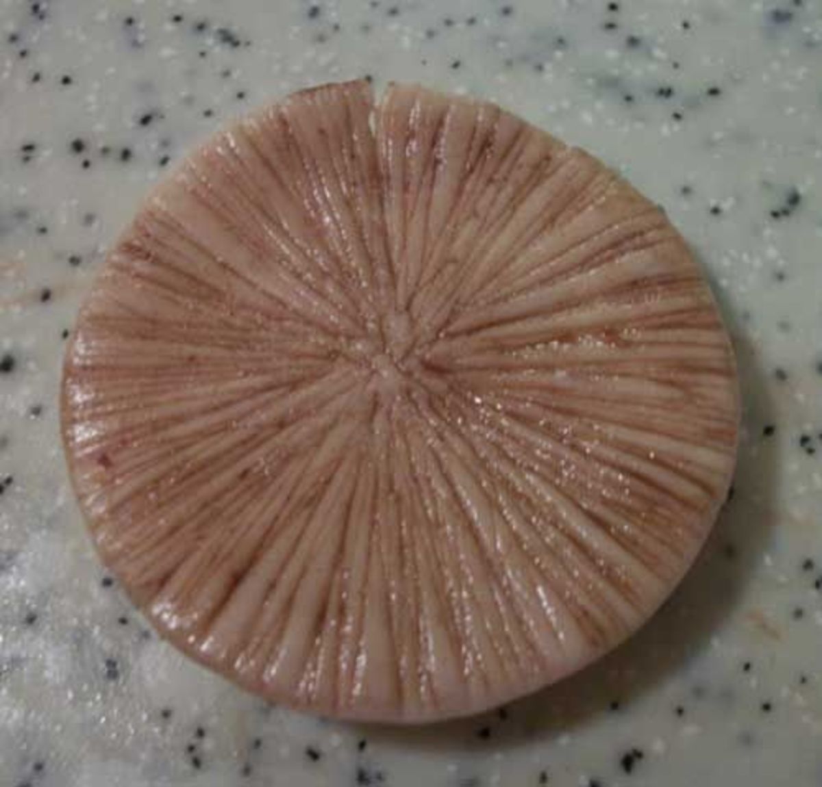 Brush cocoa powder water into the score marks. Set the piece aside. This will be the gills under the mushroom’s cap.