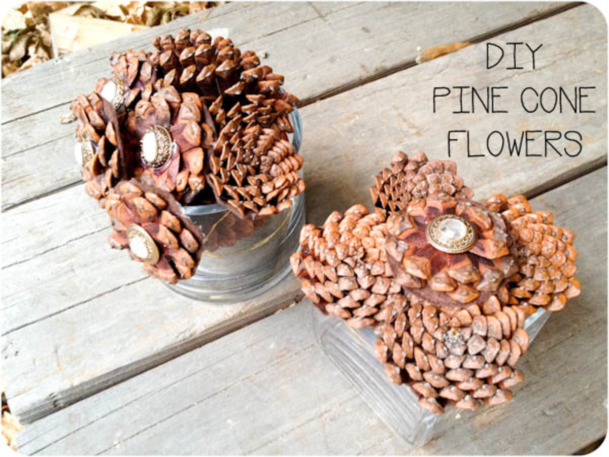 pretty pine cone flowers