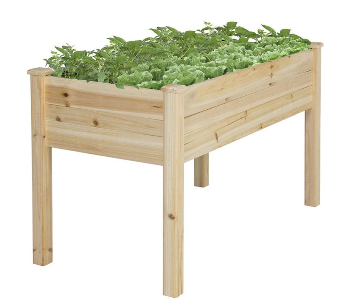 Elevated Garden Bed - The Easiest Way to Grow Vegetables