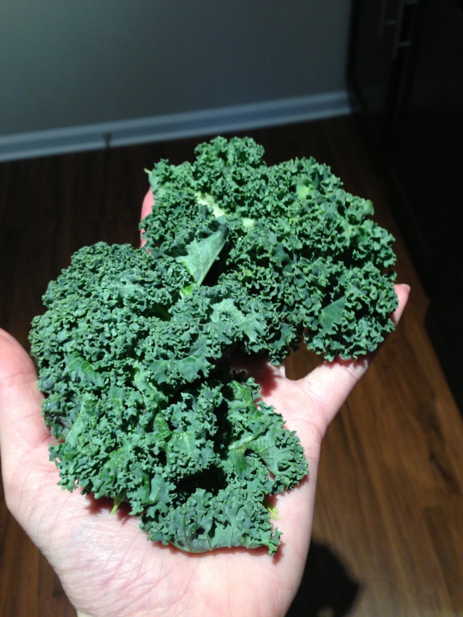 Step 3: 3 leaves of kale, or a small handful