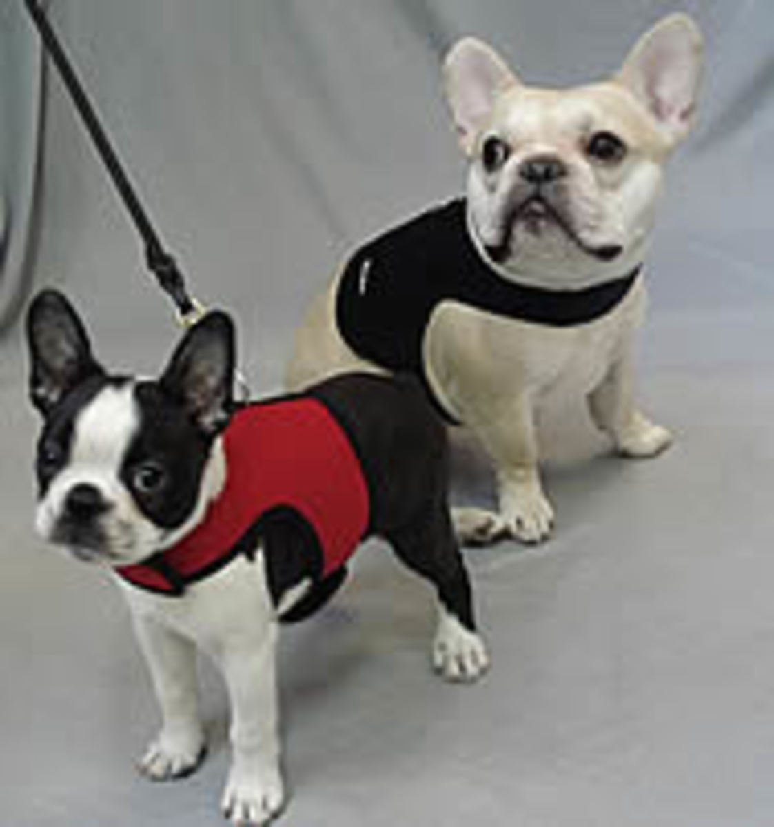 dog-harnesses-for-arthritis