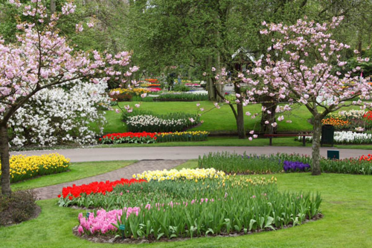 Spring in Keukenhof Garden of Europe, the Netherlands