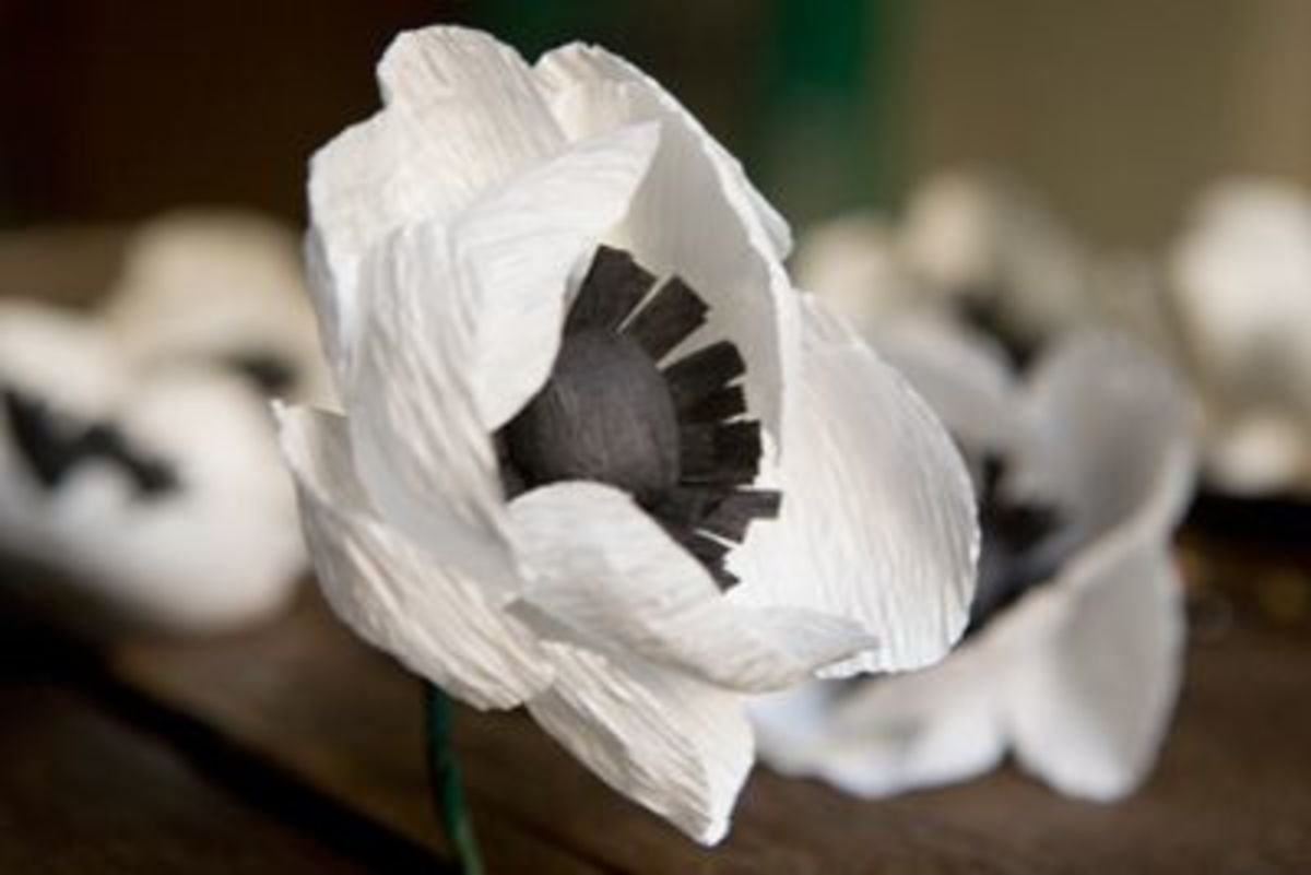 Crepe Paper Crafts- Make Crepe Paper Flowers - HubPages