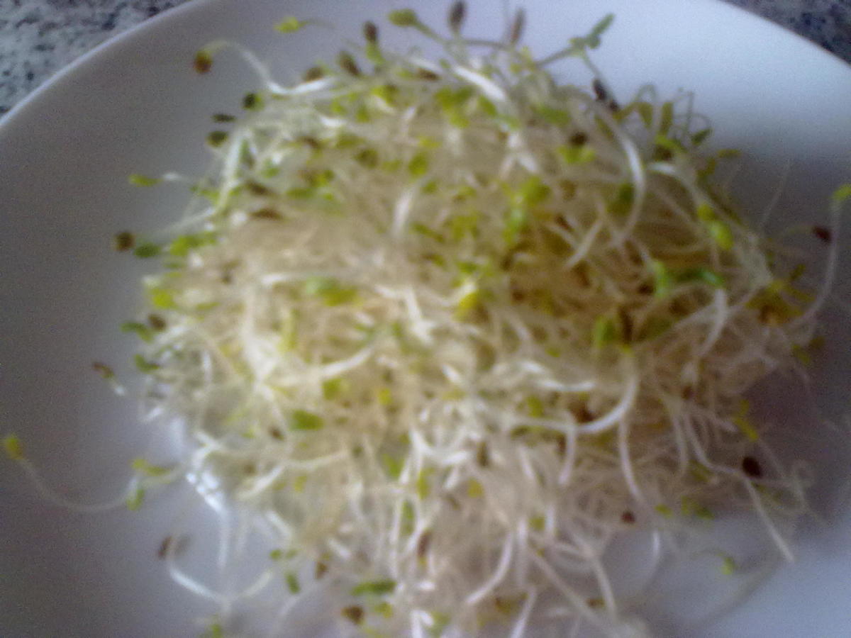 Add sprouts to your diet instead of lettuce.