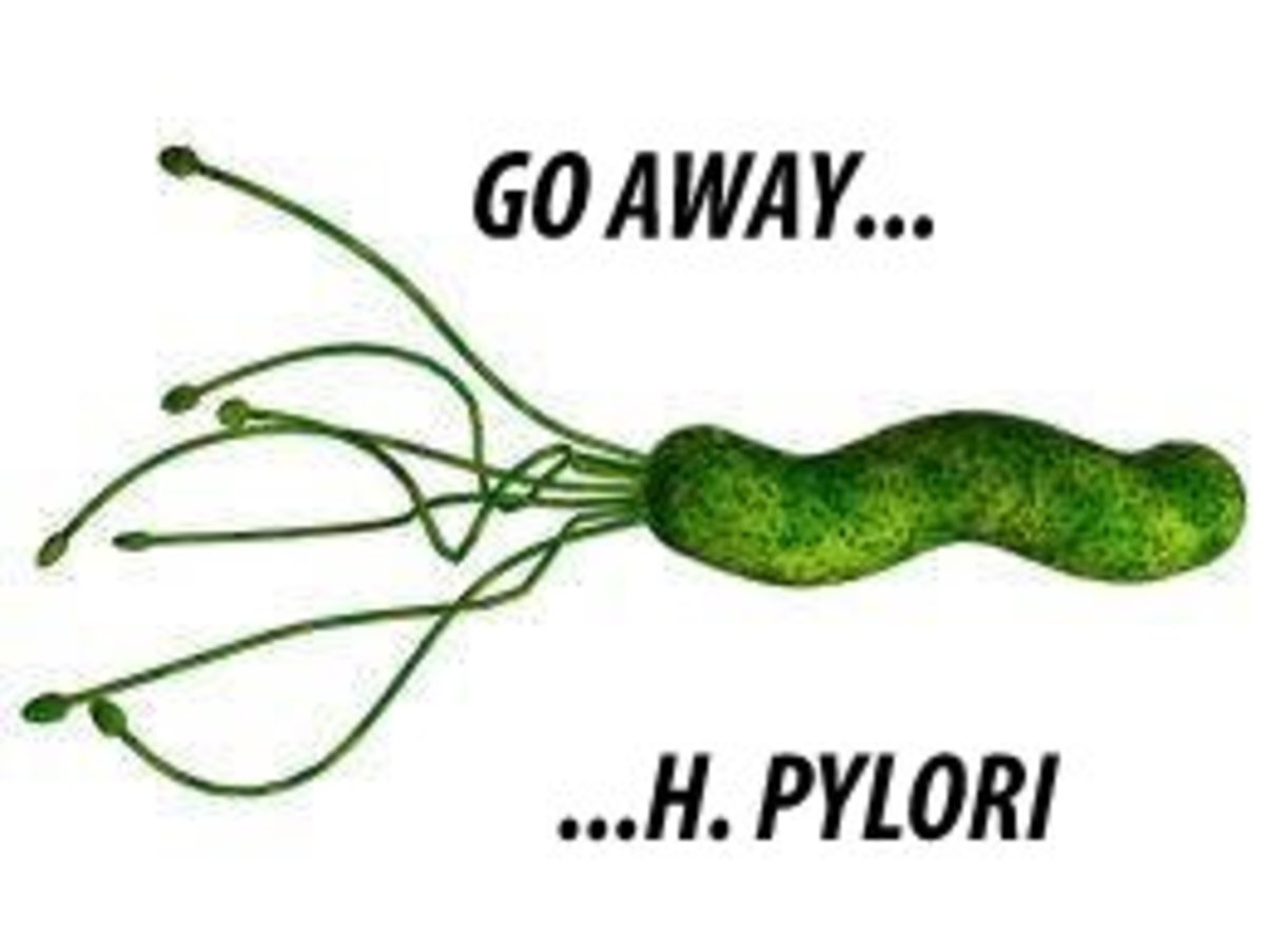 my-experience-with-h-pylori