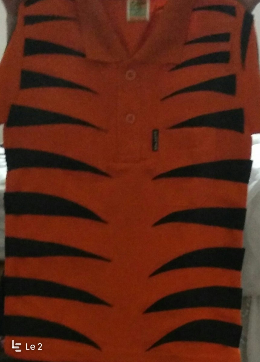 how-to-make-tiger-costume-for-a-four-year-old