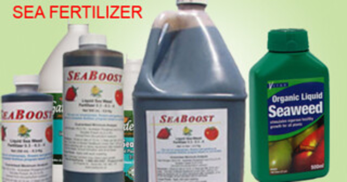 11 Benefits of Seaweed Fertilizers and How to Use It HubPages