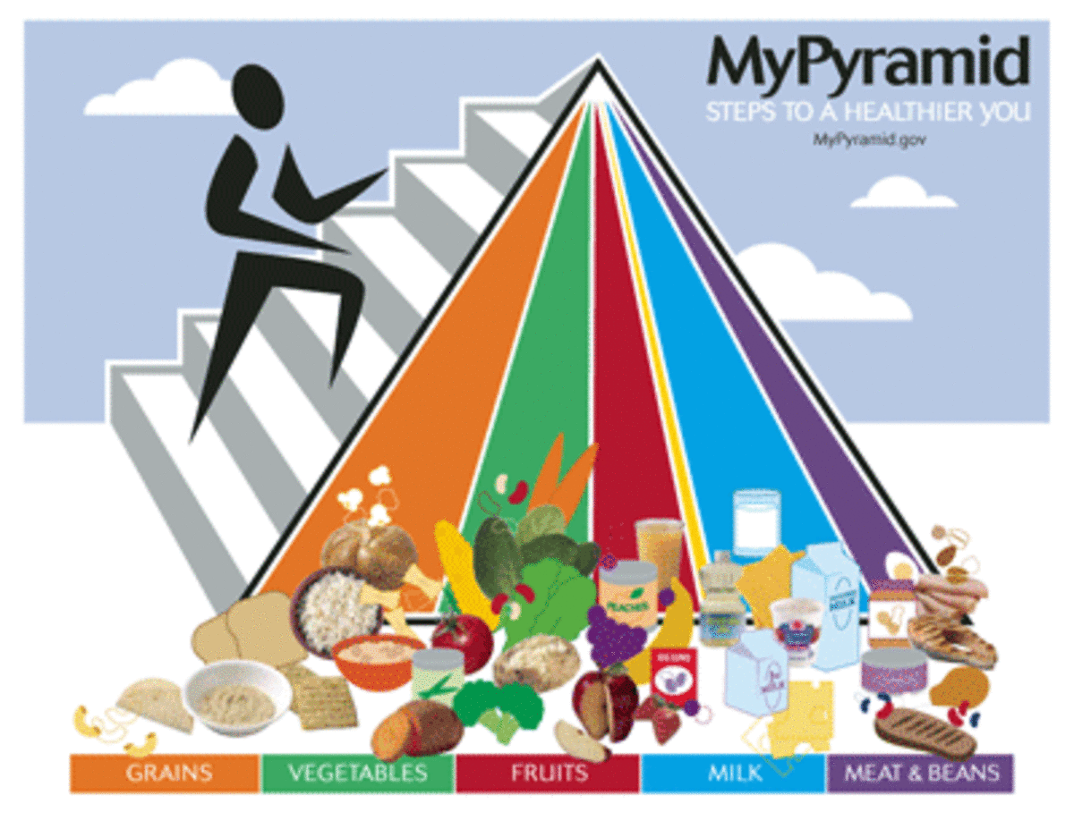 USDA Food Pyramid for the 2000s