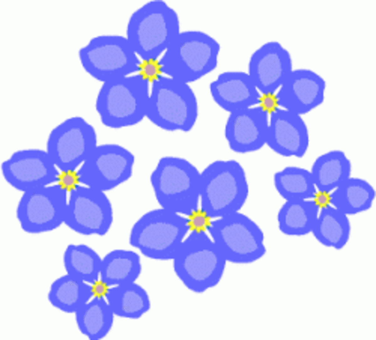 Grandparents day flowers of remembrance, blue forget-me-nots