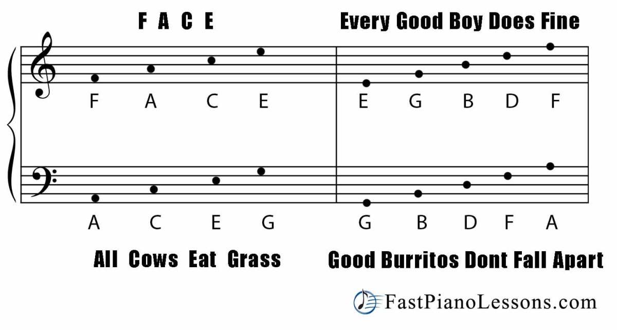 Learn To Read Piano Music Quickly With These Acronyms Hubpages