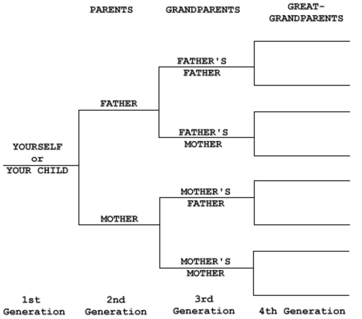 Simple 4-generation pedigree chart.