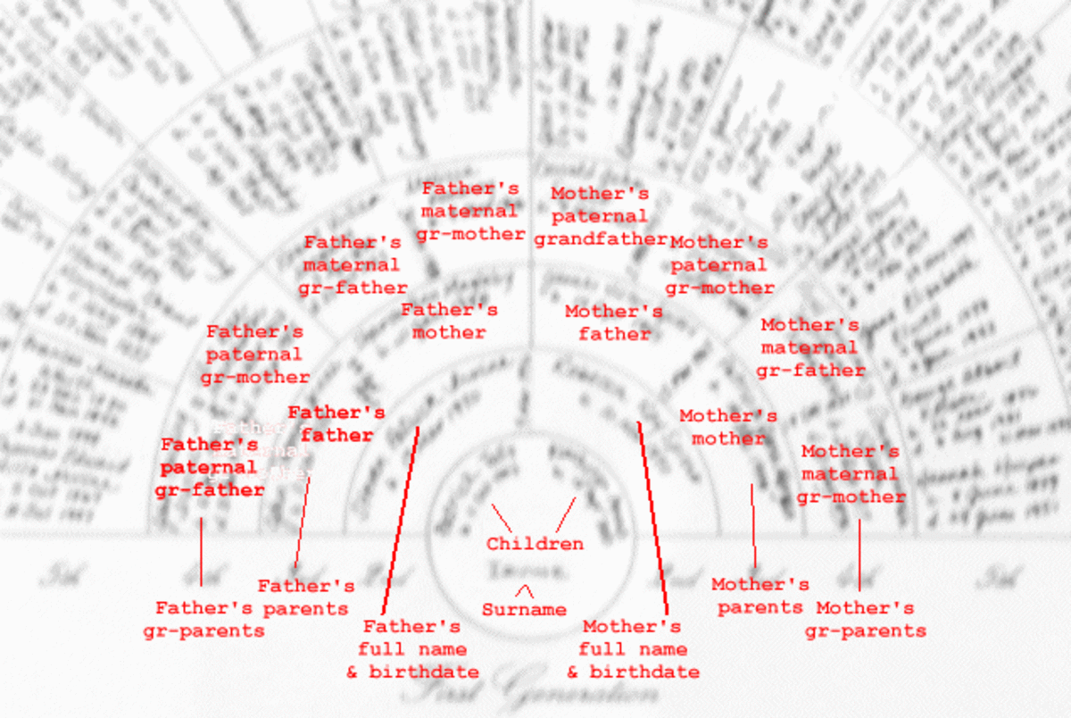 The center portion of a completed fan chart. Click to view full size. 
