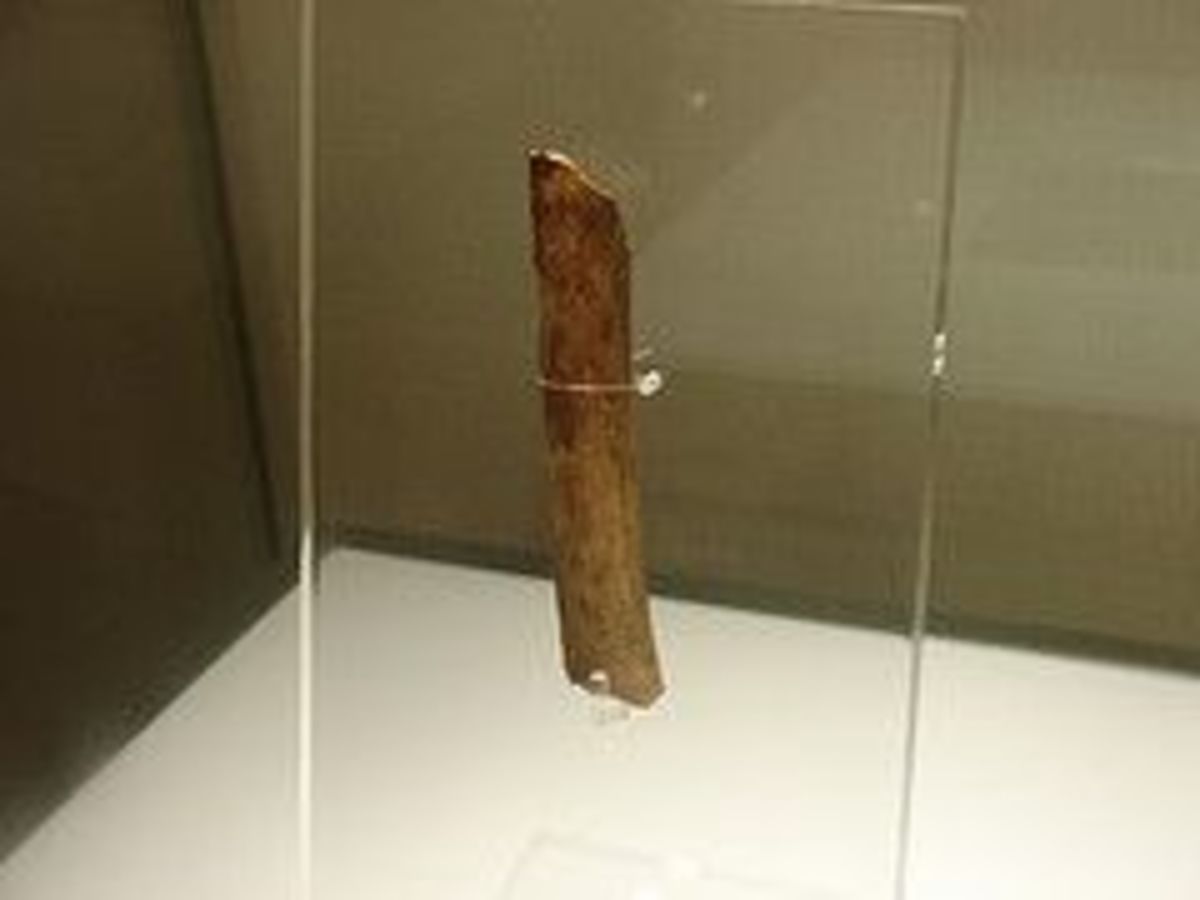 Shang Dynasty Ceremonial Ox Bone