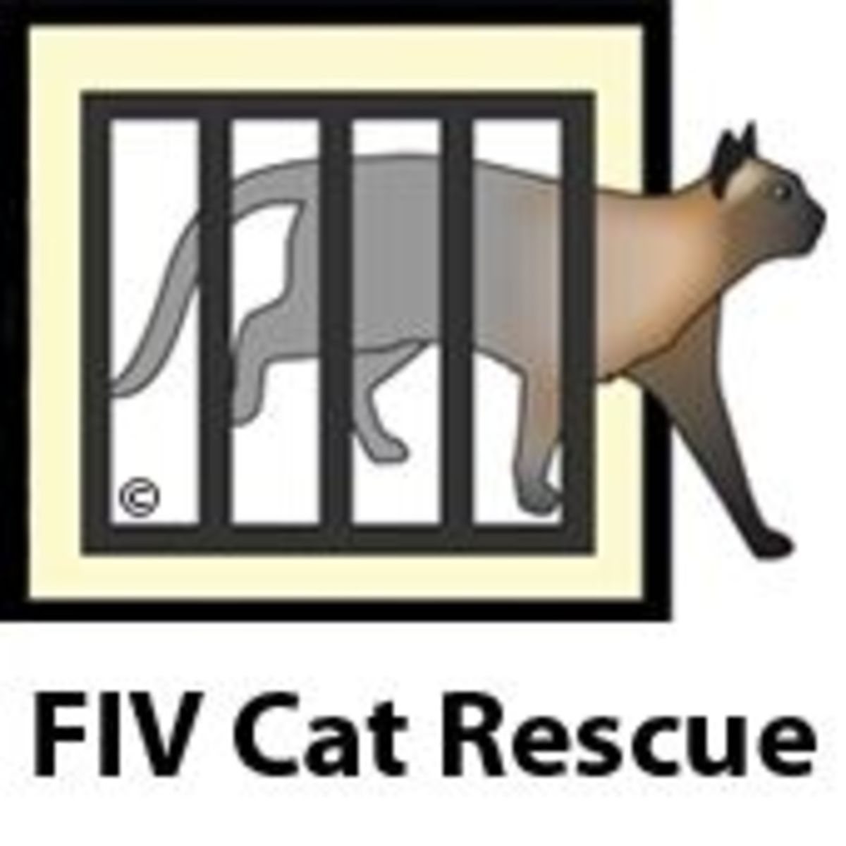 FIV Cat Rescue