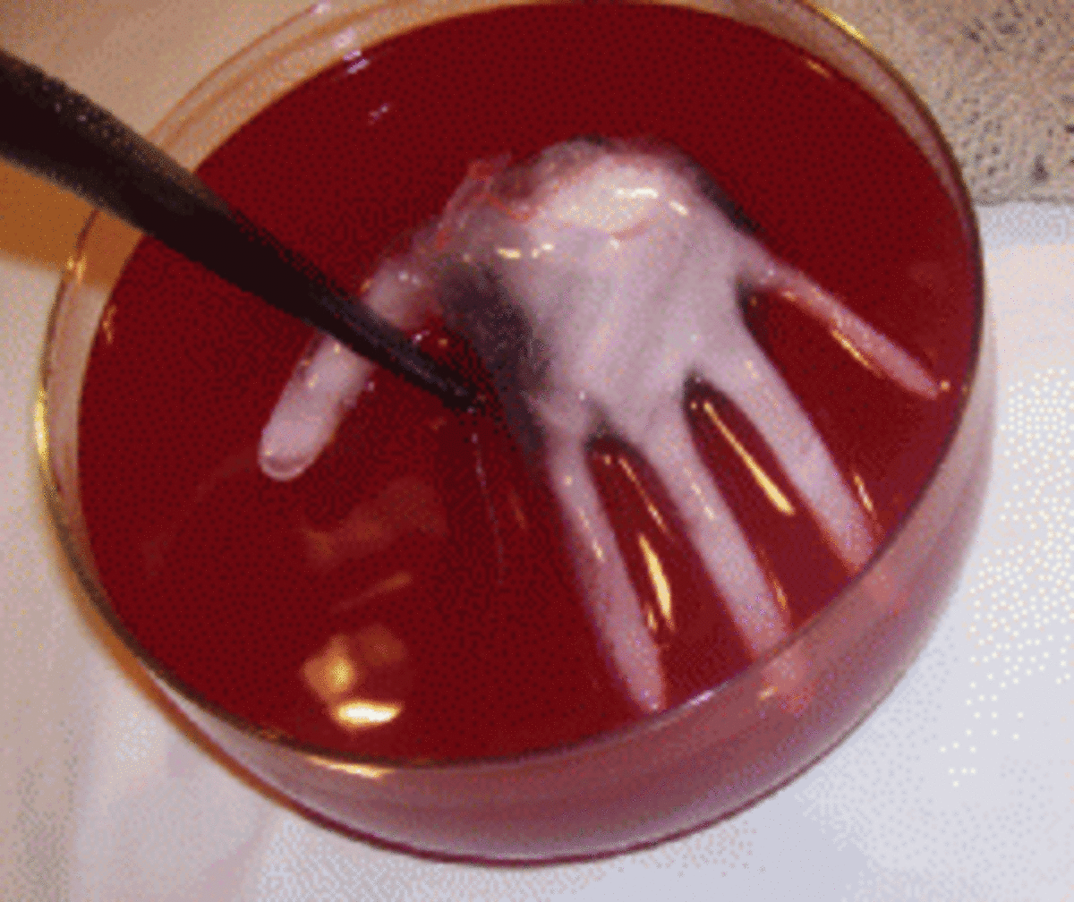Spooky Halloween Punch Recipes and Party Ideas