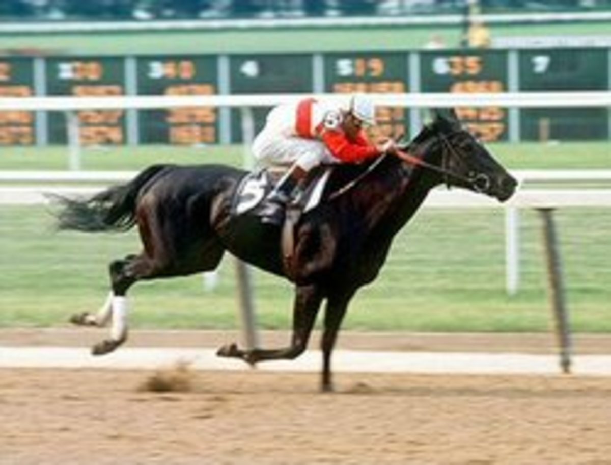 great-racehorse-ruffian-the-queen-of-the-fillies