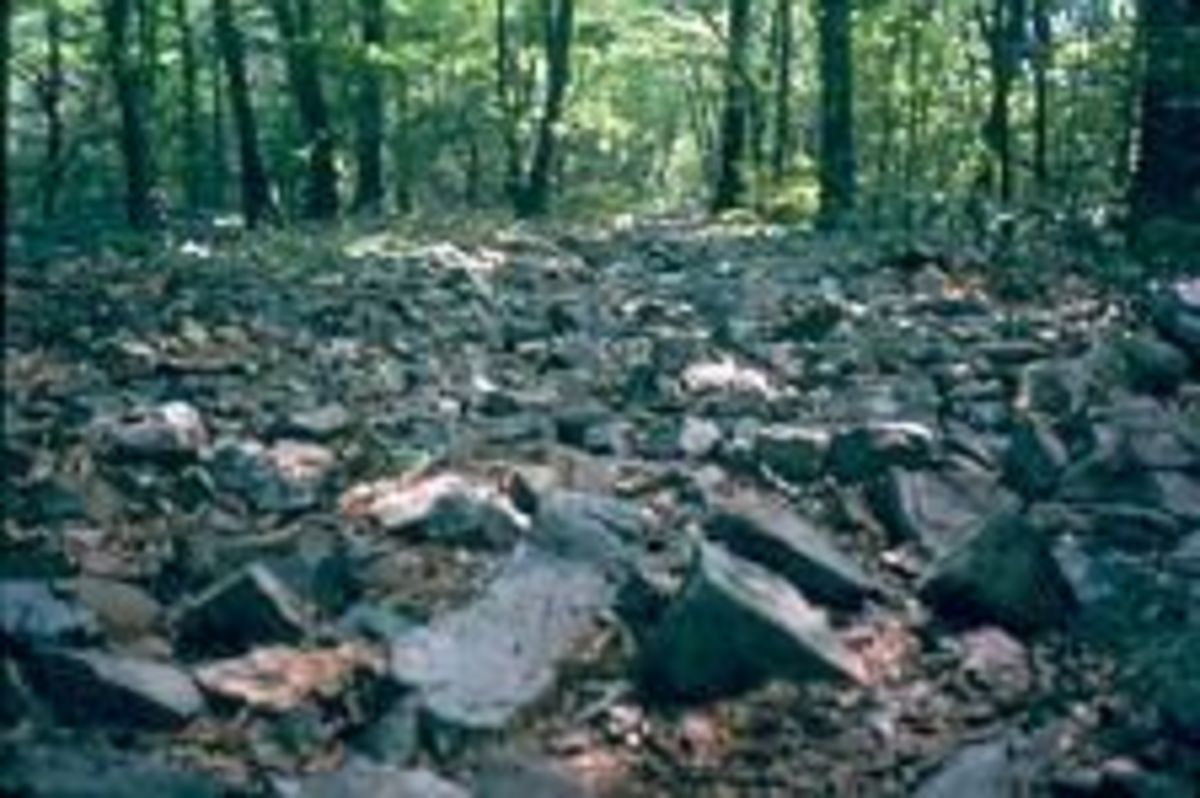 The Pennsylvania Rocks