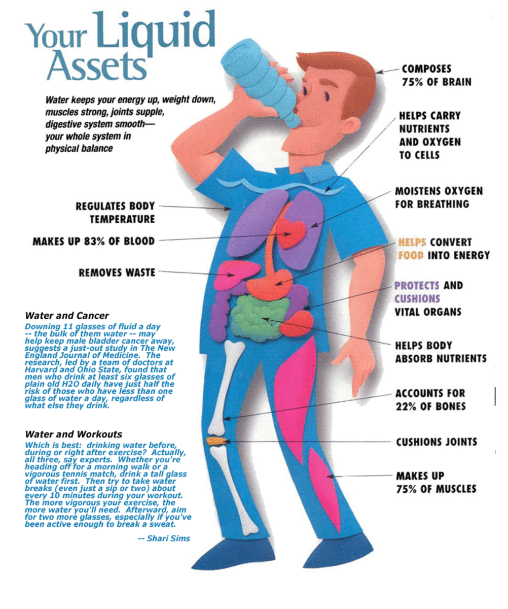 Human body liquid assets - hydration benefits
