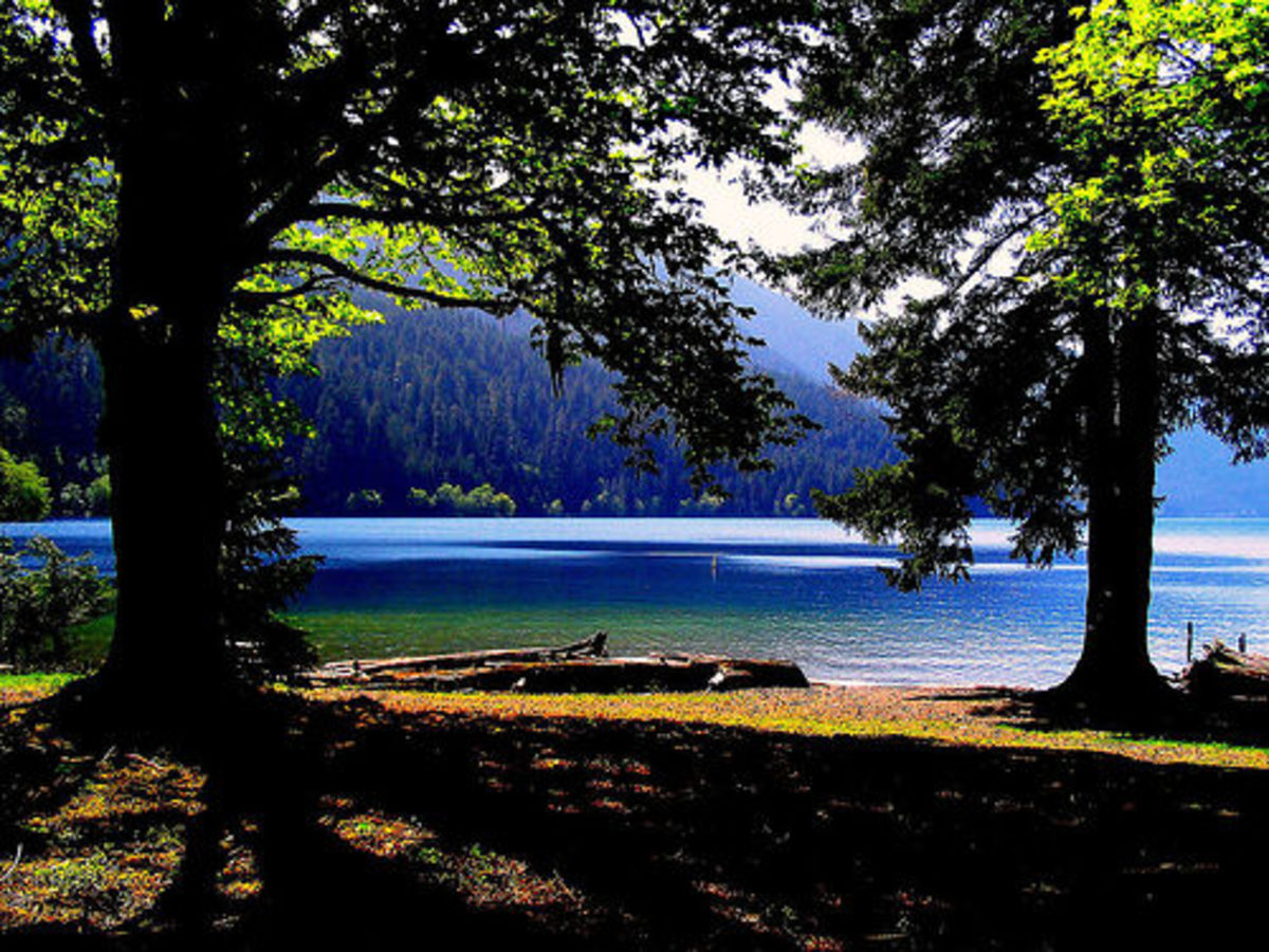 favorite-funny-stories-boating-on-the-lake-at-lake-crescent