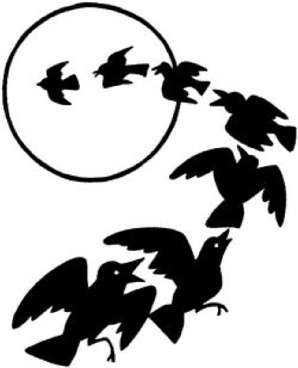 raven-symbolism-lore