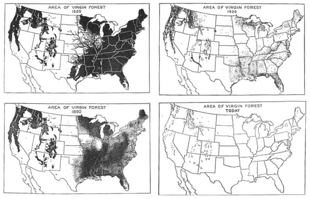 This chart depicts loss of virgin forest in the US between 1620 and the present, and demonstrates the scale of some of the land use changes humans have perpetrated.
