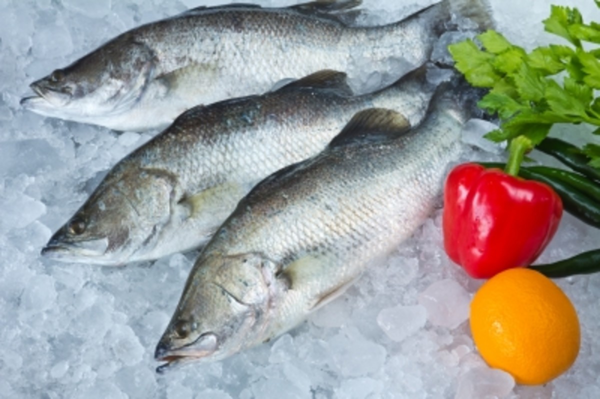 4 Easy Fish Recipes Ready in 30 Minutes