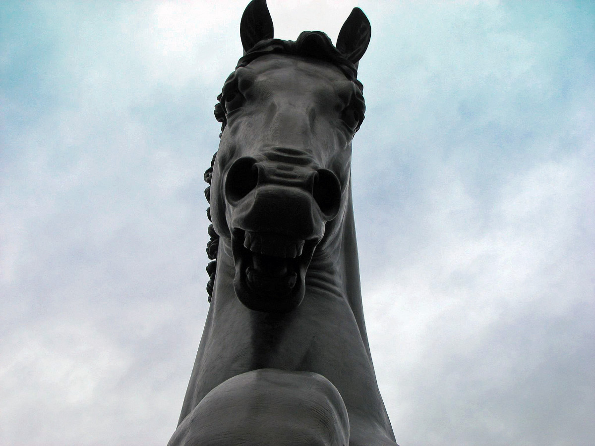 This is the Horse's Face. It is very detailed and well planned, just as da Vinci wanted it. 