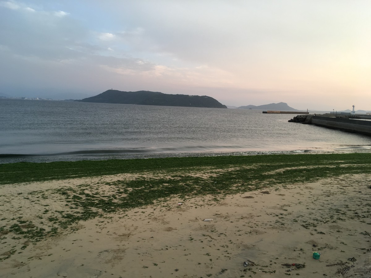 fukuoka-budget-my-travel-best-uminonakamichi-seaside-park