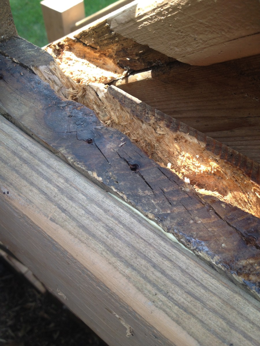 How to Repair Wood Rot on Your Outdoor Deck A General Overview HubPages