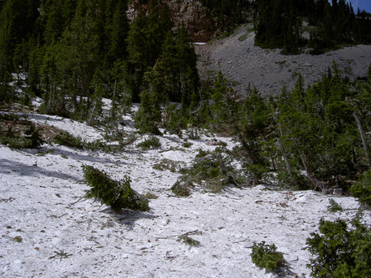 types-of-avalanches-and-famous-avalanches