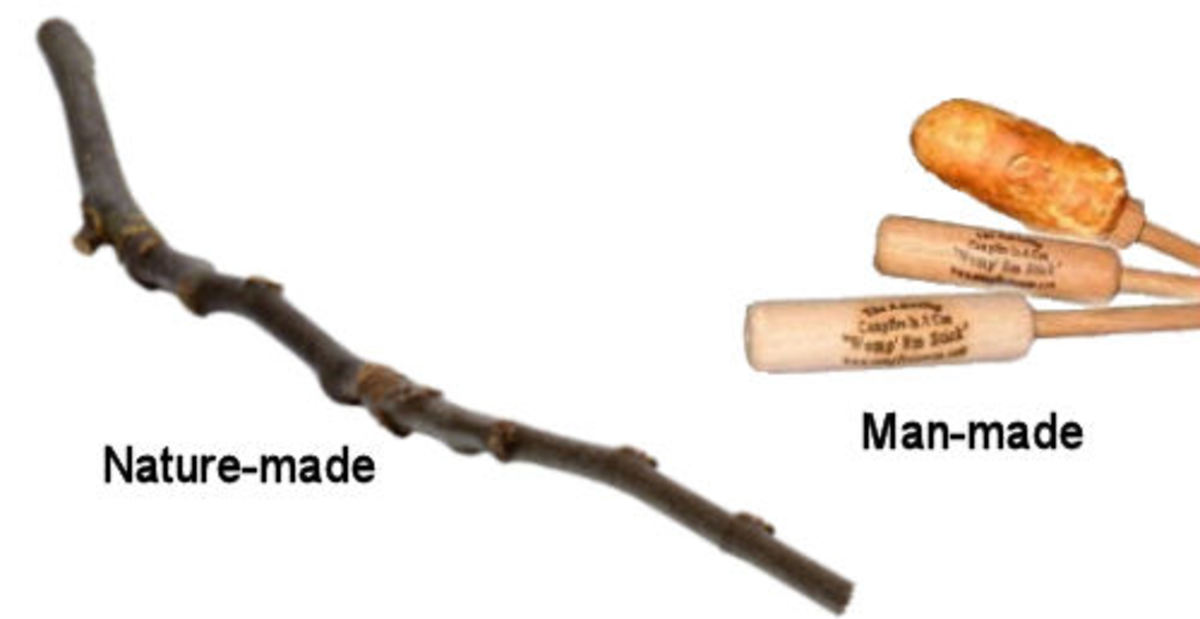 Nature's roasting stick or man's "Womp' em" sticks