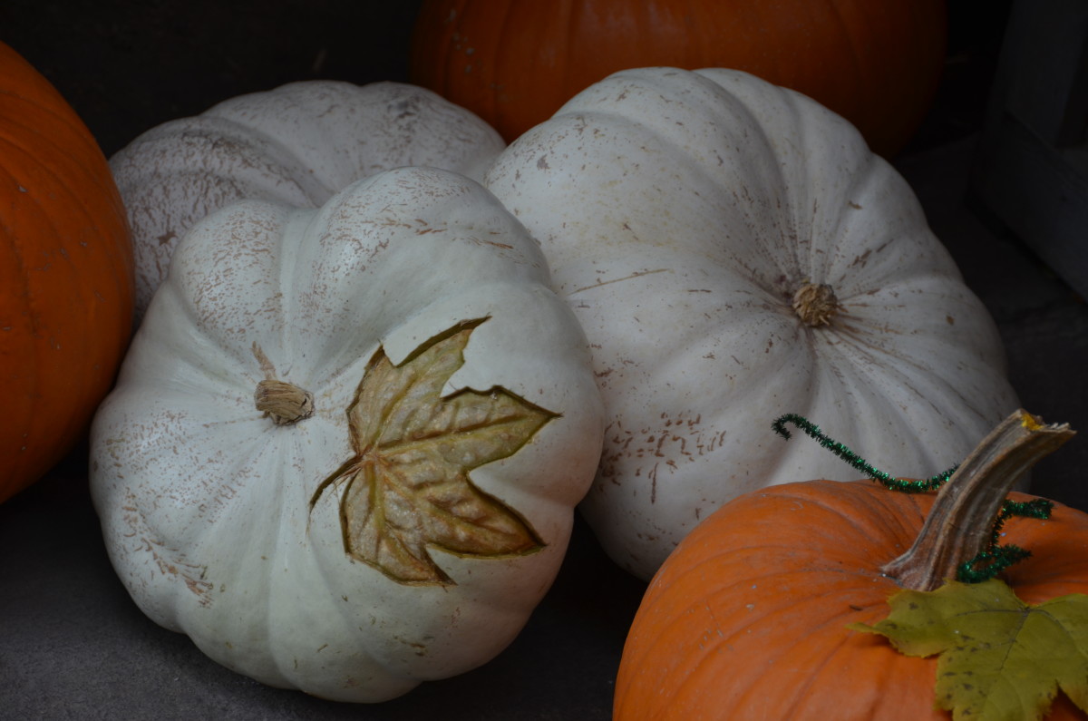 disney-pumpkin-patterns