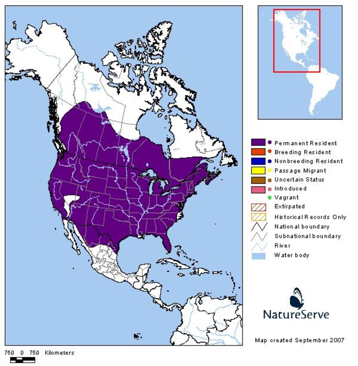 american badger range map