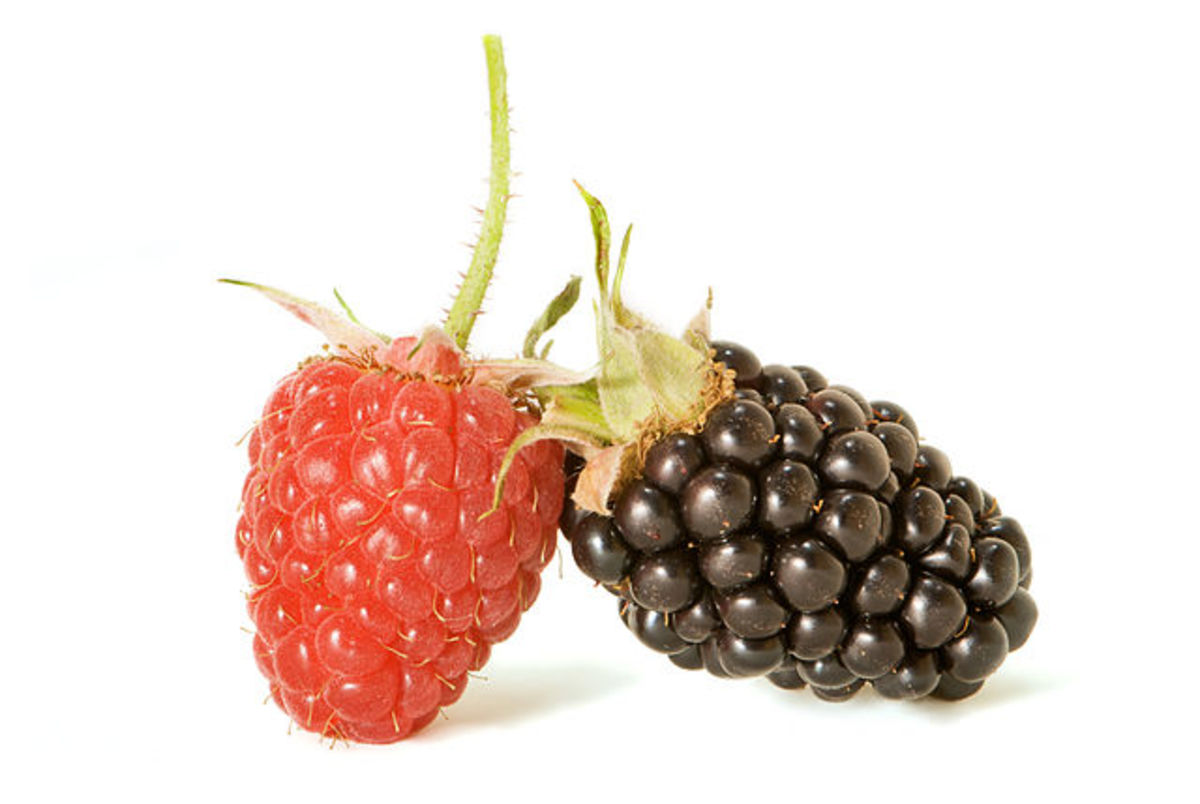 Raspberry Fruit and Its Health Benefits