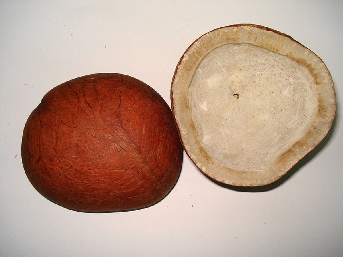 health-benefits-of-coconut