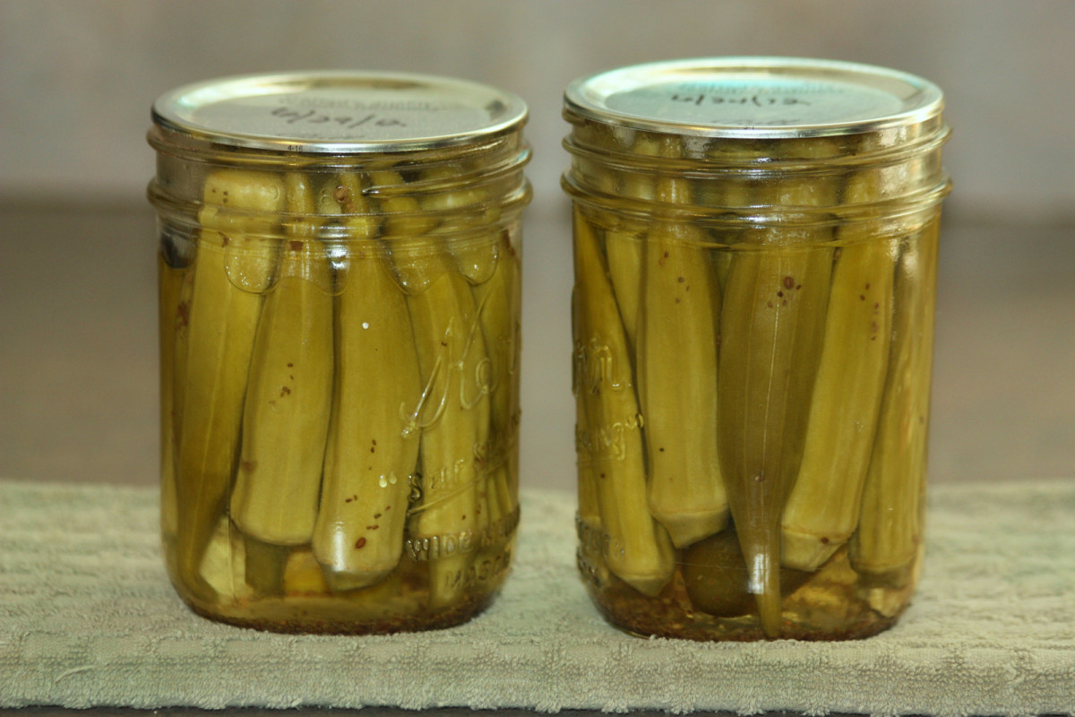 Two jars of my home-made pickled okra.